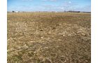 Property photo 36 - 127 Acres Offered in 4 Tracts